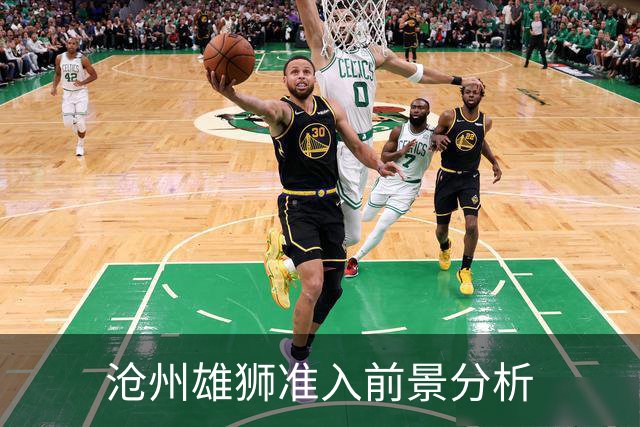 沧州雄狮准入前景分析